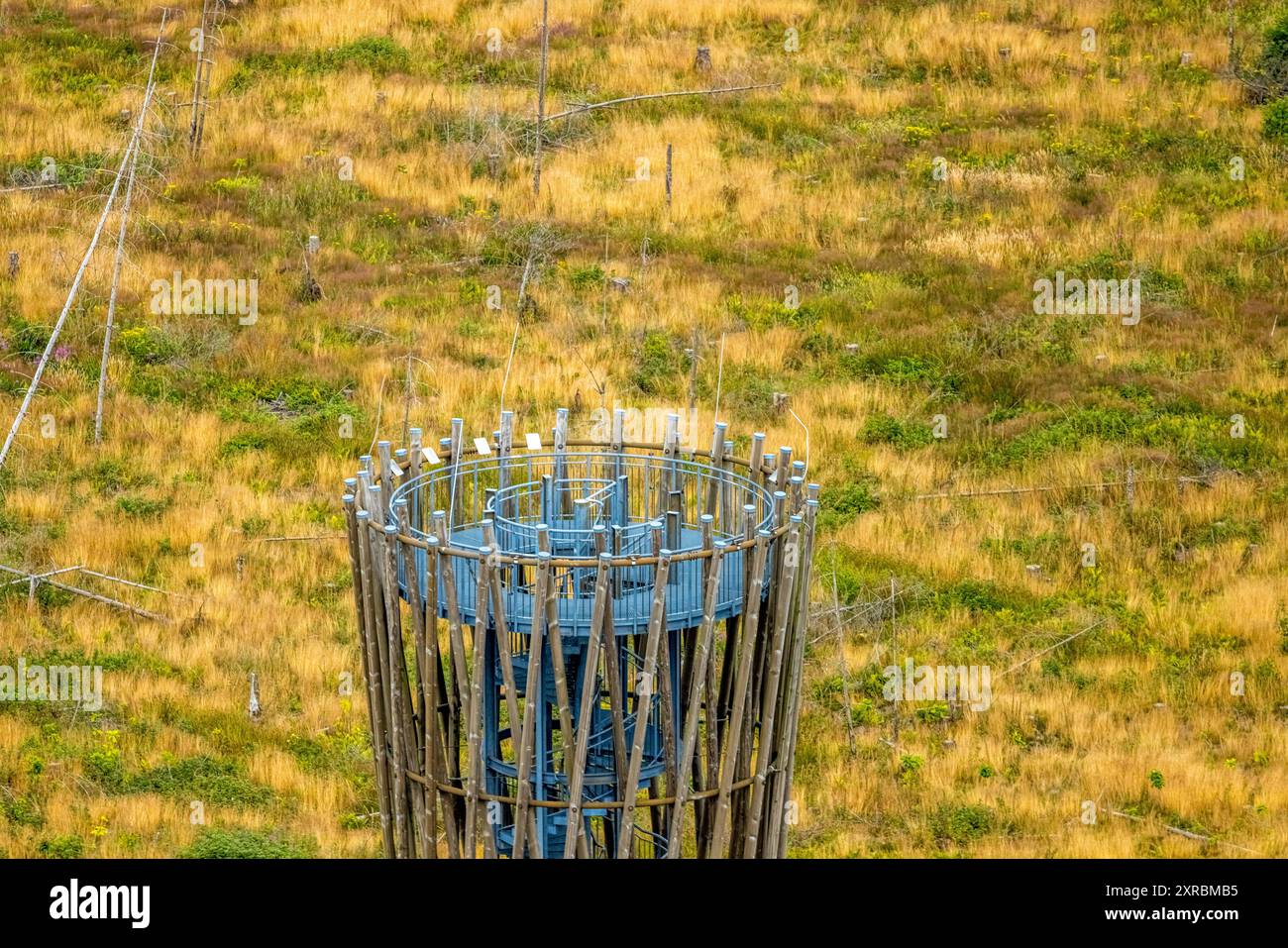 Luftbild, Lörmecke-Turm, Aussichtsturm im Plackwald, Besucher Plattform, Wiesenfläche, Warstein, Sauerland, Nordrhein-Westfalen, Deutschland ACHTUNGxMINDESTHONORARx60xEURO *** vue aérienne, tour de Lörmecke, tour d'observation à Plackwald, plate-forme touristique, zone de prairie, Warstein, Sauerland, Rhénanie du Nord-Westphalie, Allemagne ATTENTIONxMINDESTHONORARx60xEURO Banque D'Images