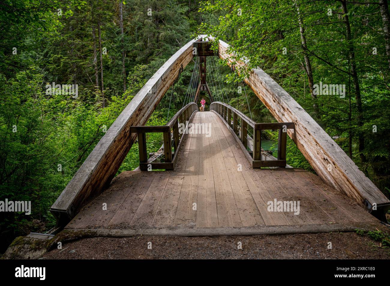 Une femme (libérée) avec un doodle doré miniature traversent le pont sur la rivière Middle Fork Snoqualmie au début du sentier du Middle Fork Sn Banque D'Images