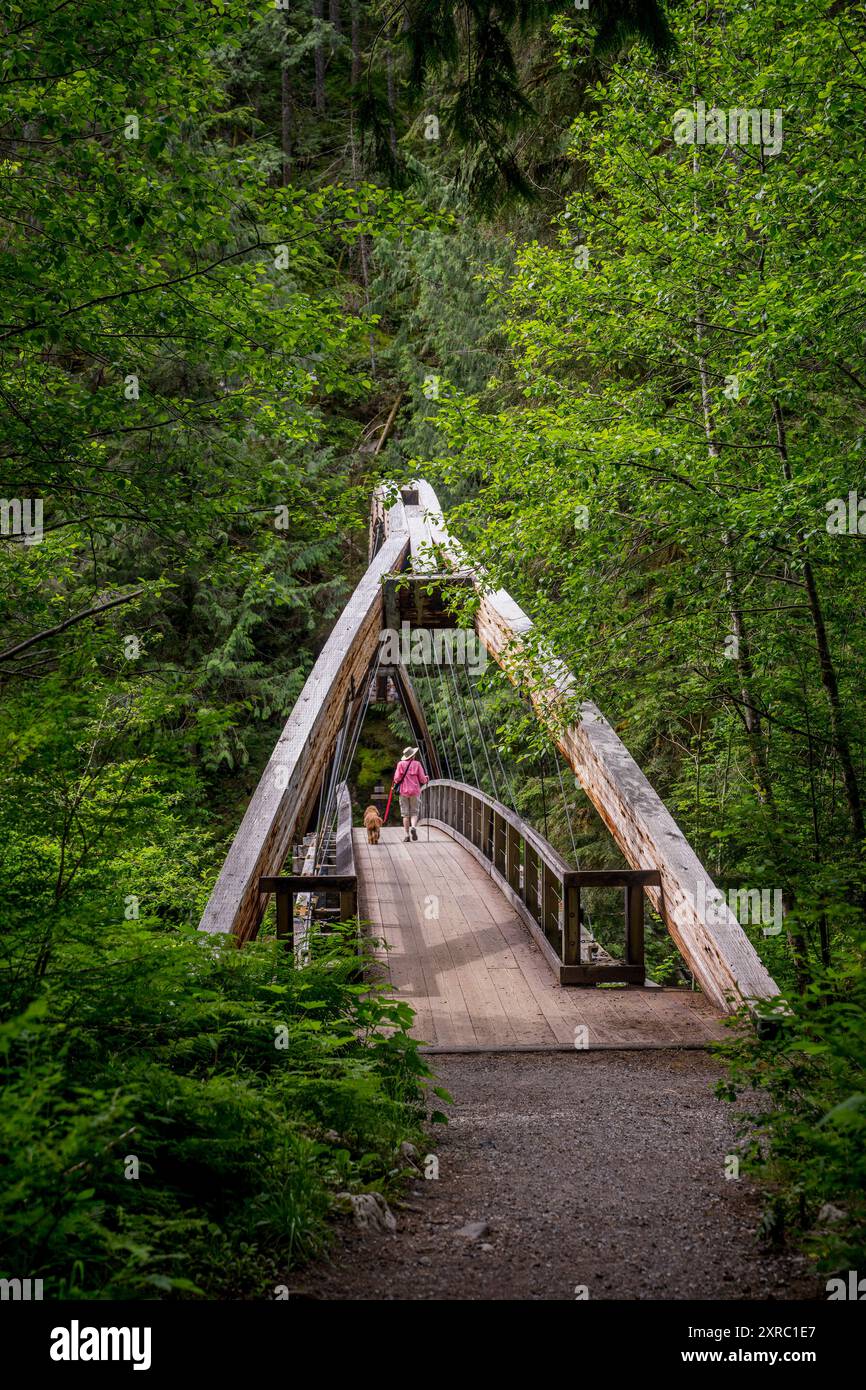 Une femme (libérée) avec un doodle doré miniature traversent le pont sur la rivière Middle Fork Snoqualmie au début du sentier du Middle Fork Sn Banque D'Images