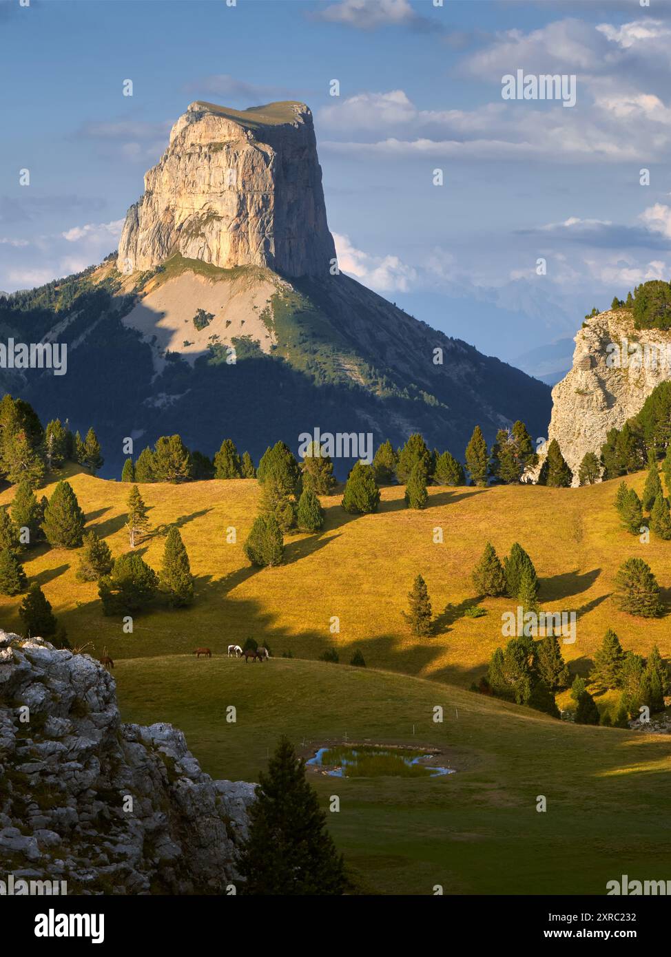 Mont aiguille en automne avant le coucher du soleil dans les hauts plateaux du Vercors. Parc naturel régional du Vercors, Isère, Rhône-Alpes, Alpes, France Banque D'Images