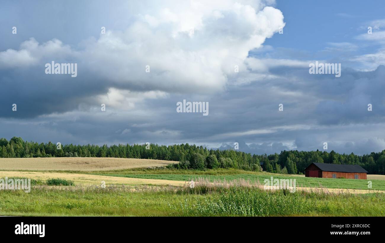 L'image capture un paysage rural tranquille avec de vastes champs et une grange en bois. Les champs sont un mélange de teintes vertes et dorées, suggérant Banque D'Images