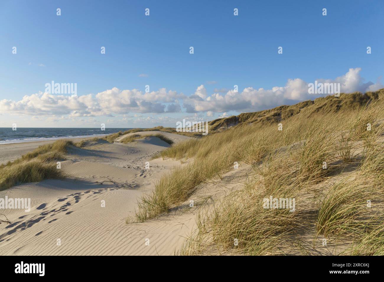 Empreintes de pas dans le sable de la plage, pas de gens dans un paysage côtier avec un ciel ensoleillé et des nuages. Banque D'Images