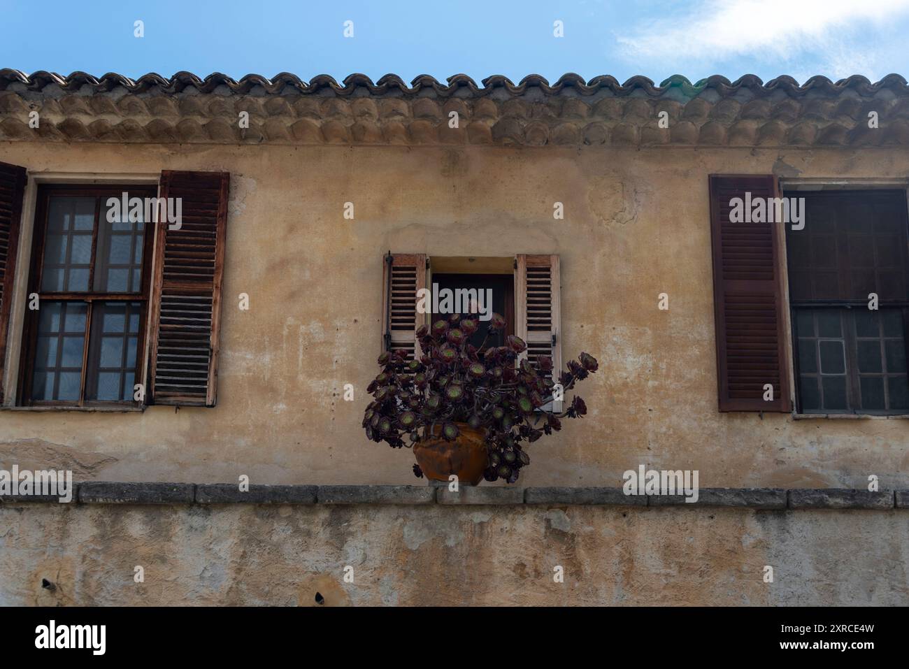 Toit de maison, fenêtres et volets en bois, pot de fleurs, Saint-Paul-de-Vence, Provence-Alpes-Côte d'Azur, France Banque D'Images