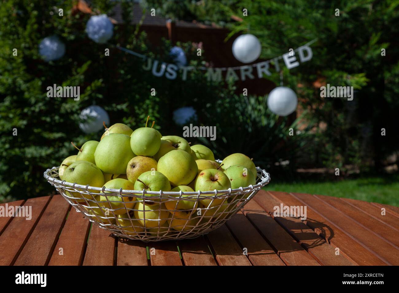 Pommes vertes fraîchement cueillies en vrac dans un panier de fil blanc sur une table en bois brun au soleil dans le jardin, une bannière avec l'inscription Just Married est floue dans le fond, les préparatifs pour un mariage à la campagne Banque D'Images