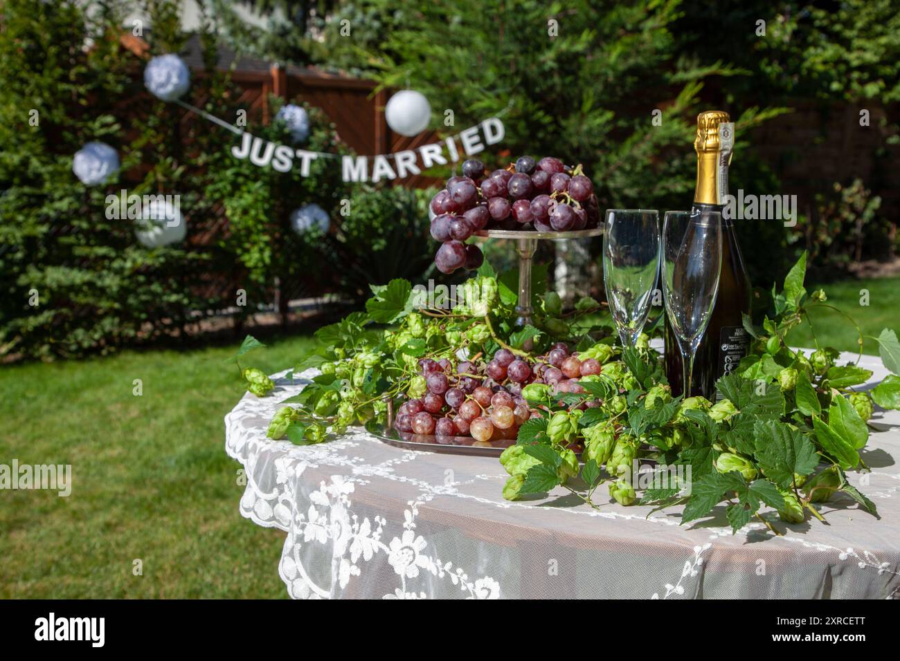 Un arrangement avec 2 verres à champagne et une bouteille de champagne à côté de raisins rouges et de houblons de bière décorés sur un plateau en argent, table avec nappe blanche dans un jardin, préparation pour un mariage dans le jardin, lettrage JUSTE marié flou dans le fond Banque D'Images