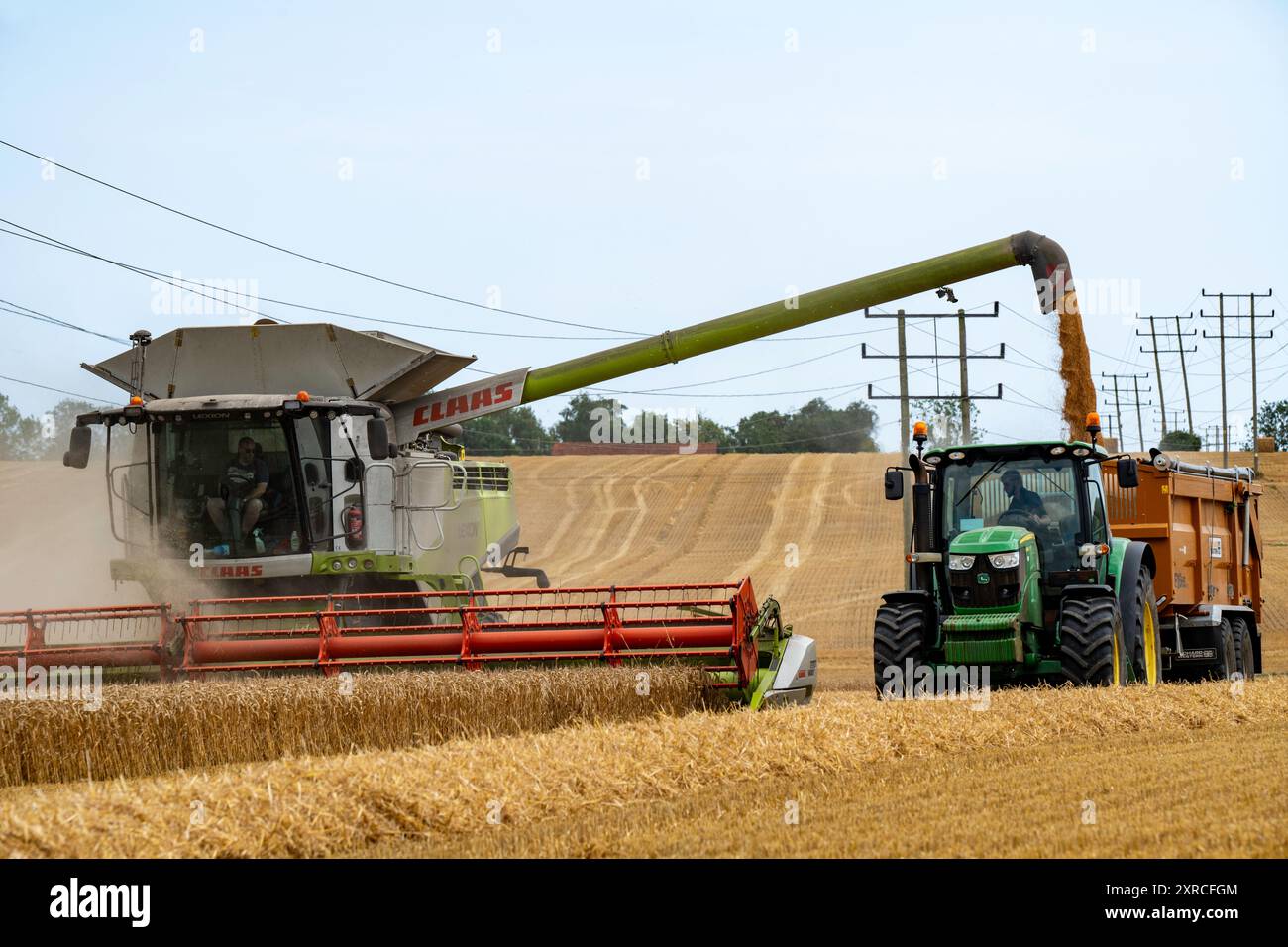 Récolte de blé Framlingham Suffolk Banque D'Images