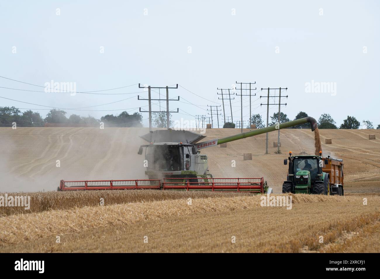 Récolte de blé Framlingham Suffolk Angleterre Banque D'Images