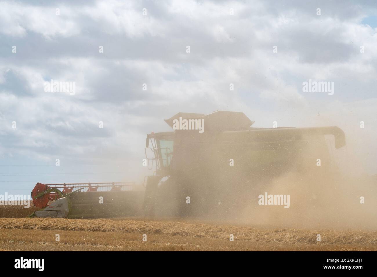Récolte de blé Framlingham Suffolk Banque D'Images