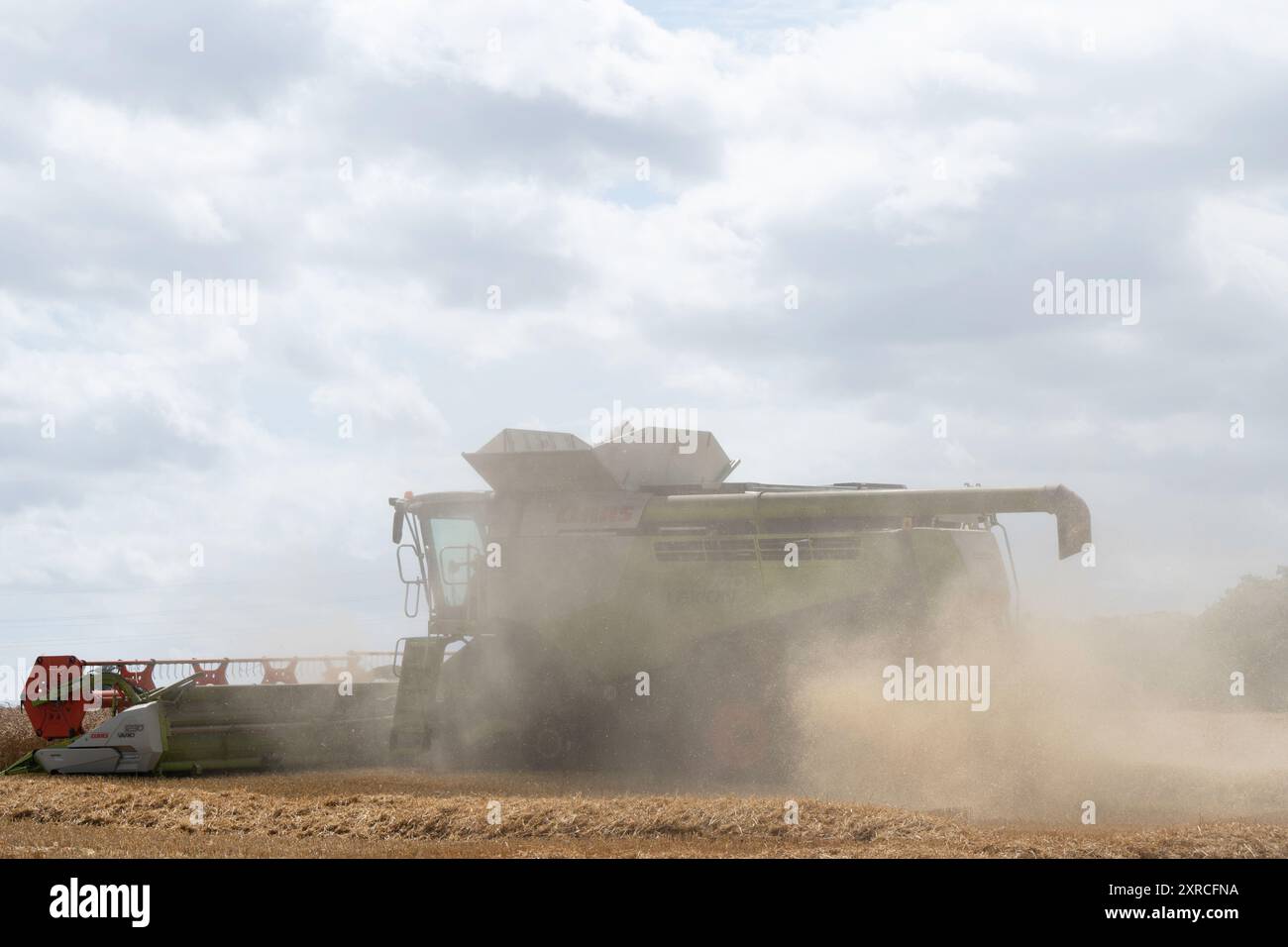 Récolte de blé Framlingham Suffolk UK Banque D'Images
