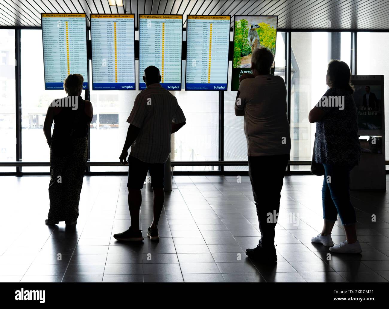 Écrans d'information zu Abflügen, Ankunft auf den Flughafen Amsterdam Schiphol, terminal, Niederlande, Amsterdam Schiphol *** écrans d'information pour les départs, arrivées à l'aéroport d'Amsterdam Schiphol, terminal, pays-Bas, Amsterdam Schiphol Banque D'Images