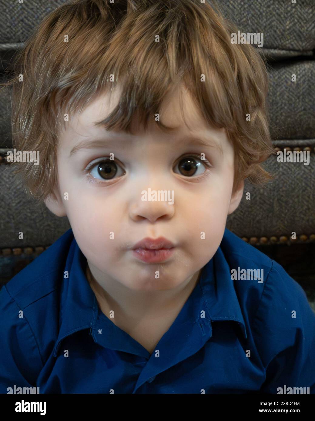 Garçon caucasien de deux ans regardant autour avec les yeux bruns pleins d'émerveillement et d'innocence. Portrait non posé. Banque D'Images