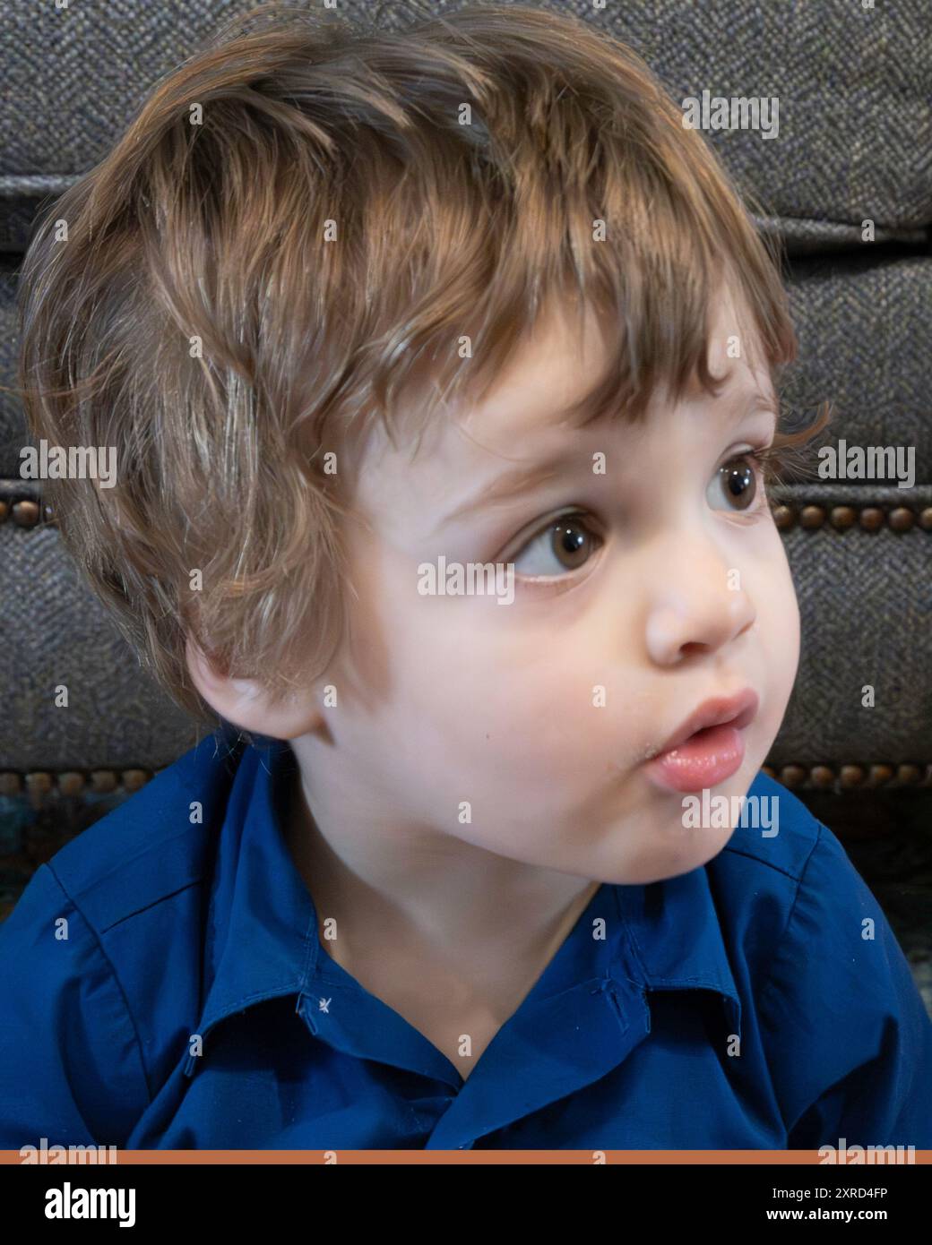 Garçon caucasien de deux ans regardant autour avec les yeux bruns pleins d'émerveillement et d'innocence. Portrait non posé. Banque D'Images