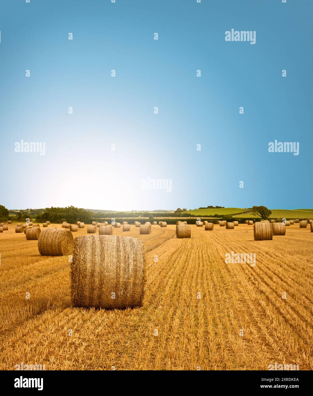 Scène vibrante de terres agricoles fraîchement cultivées avec un certain nombre de balles de foin. Accompagné d'un lever de soleil stimulant avec des couleurs magnifiquement saturées et accentuées. Banque D'Images