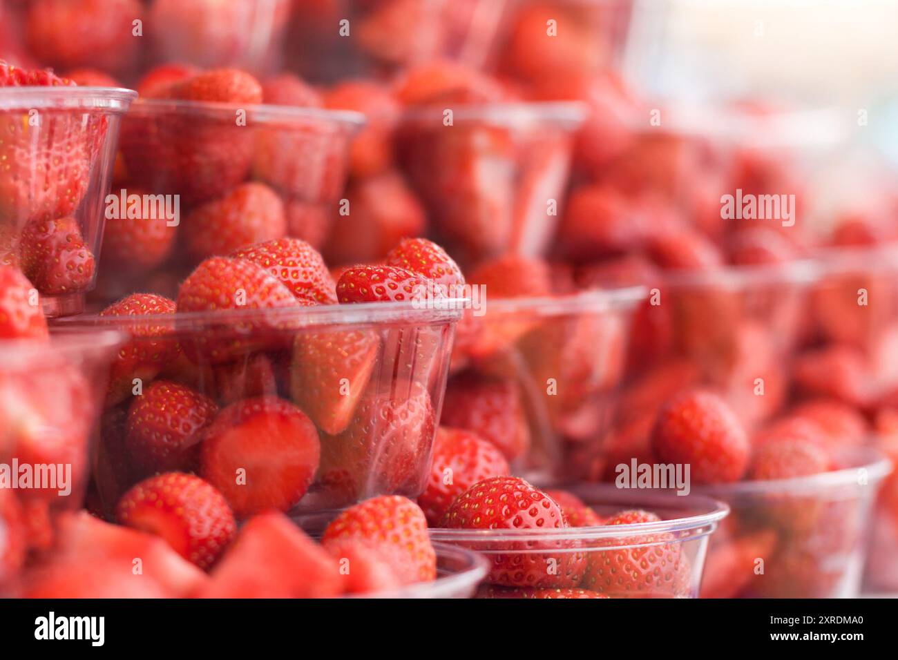 Grand buffet de fraises bien éclairées, fraîches, nettoyées et coupées contenues dans des filets à punnets transparents. Traditionnellement servi avec de la crème et du tennis. Banque D'Images