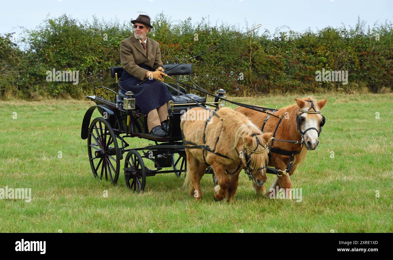 Poussette de conduite de voiture avec deux poneys isolés sur le terrain du parc. Banque D'Images