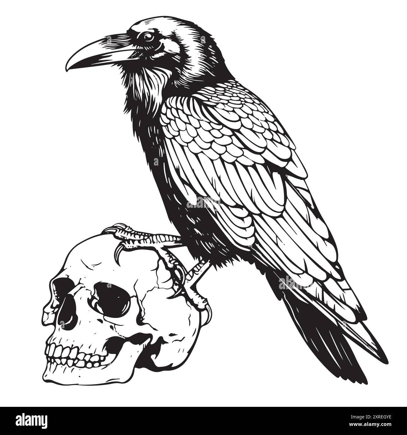 Illustration vectorielle d'un corbeau debout sur un crâne. Corbeau debout sur un crâne Illustration de Vecteur