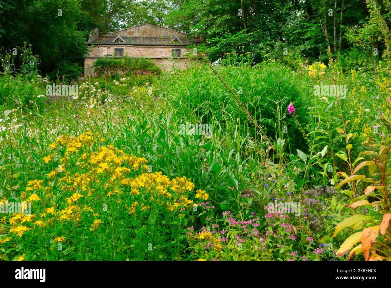 Doocot dans l'Ermitage de Braid, Édimbourg Banque D'Images