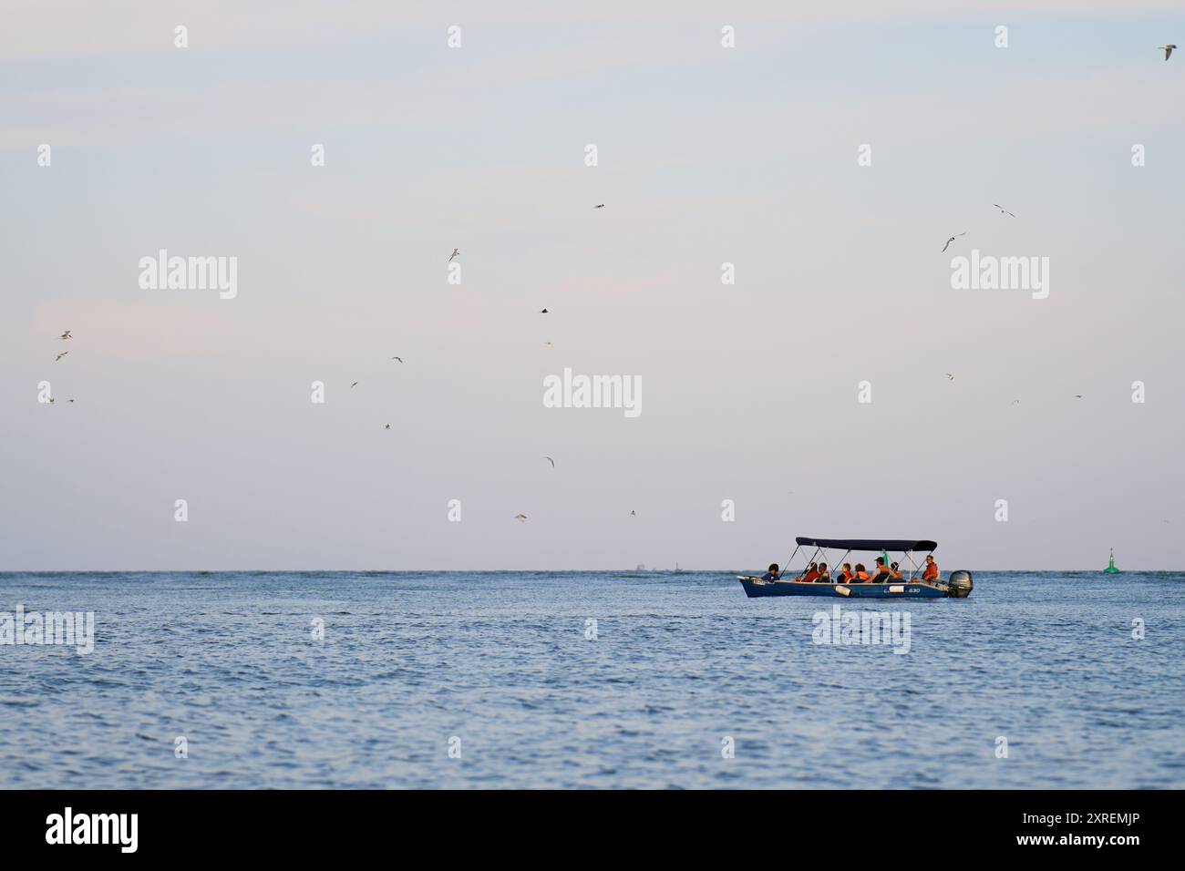 Bateau touristique entouré de mouettes sur la mer Noire près de Sulina, Roumanie Banque D'Images