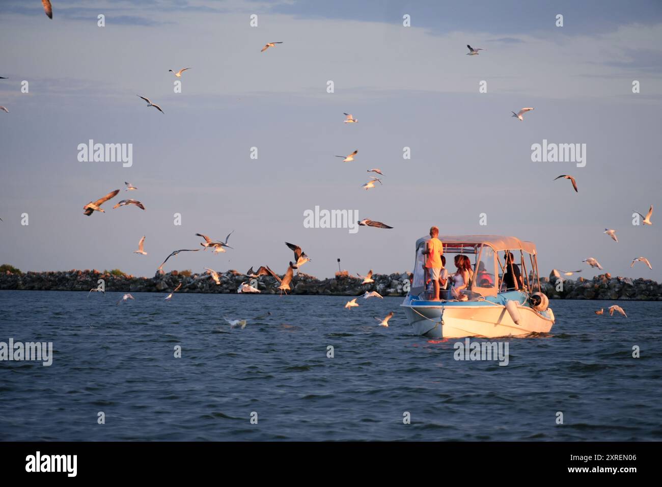 Touristes sur un bateau entouré de mouettes sur la mer Noire près de Sulina, Roumanie Banque D'Images