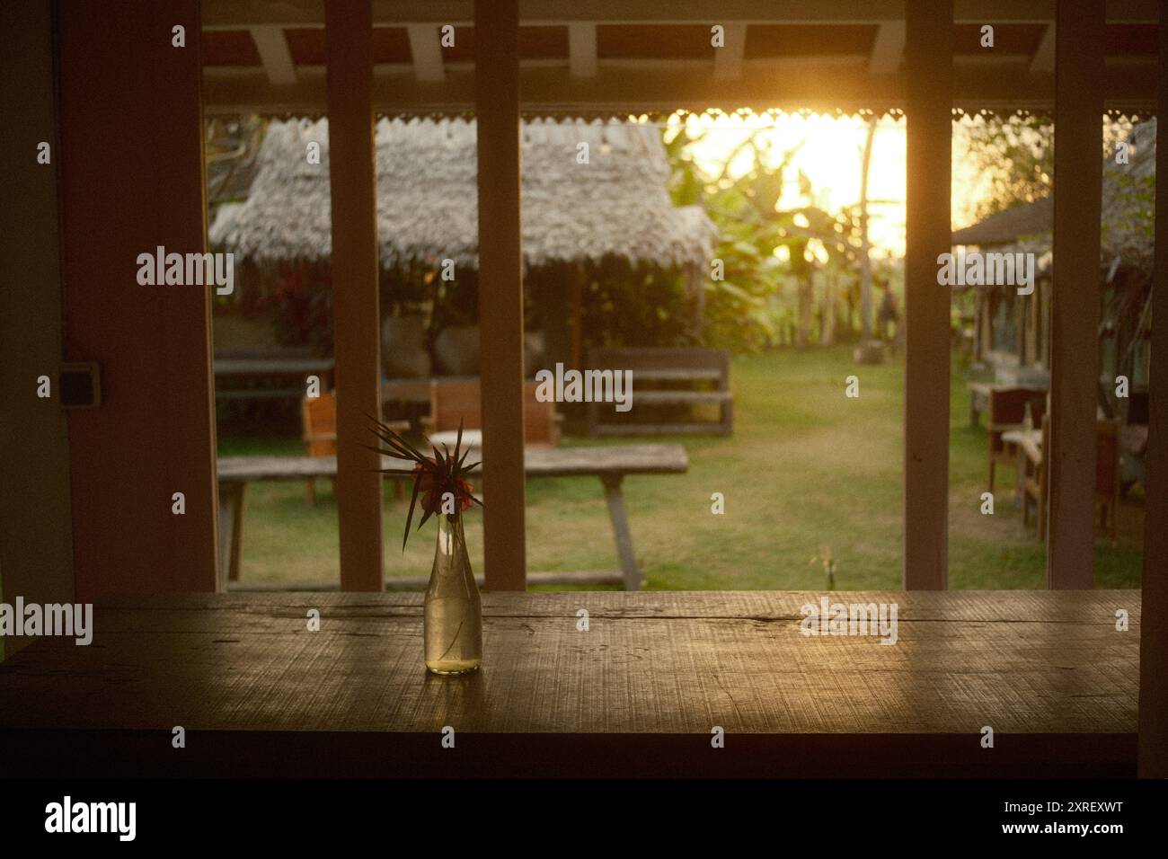 Tabanan, Bali, Indonésie - 9 août 2024 : vue sur un jardin herbeux et coucher de soleil depuis la fenêtre d'une terrasse de maison en bois, avec une table rustique Banque D'Images