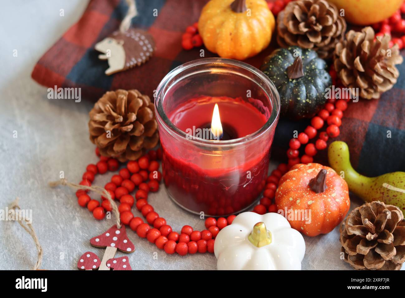 Citrouille, cônes de sapin, chapelet rouge fait de baies de Rowan, bougie allumée et plaid tartan rouge et gris chaud. Humeur automnale nature morte. Banque D'Images