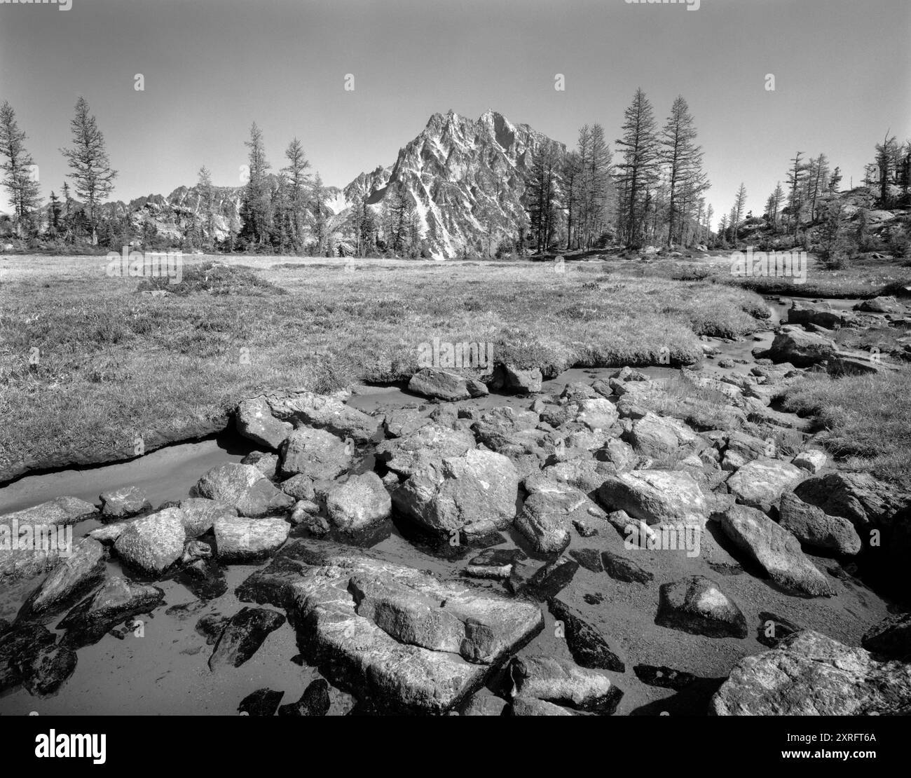 BW01953-00..... WASHINGTON - Mount Stuart depuis le sentier du lac Ingalls, Alpine Lakes Wilderness, Okanogan-Wenatchee National Forest. Banque D'Images