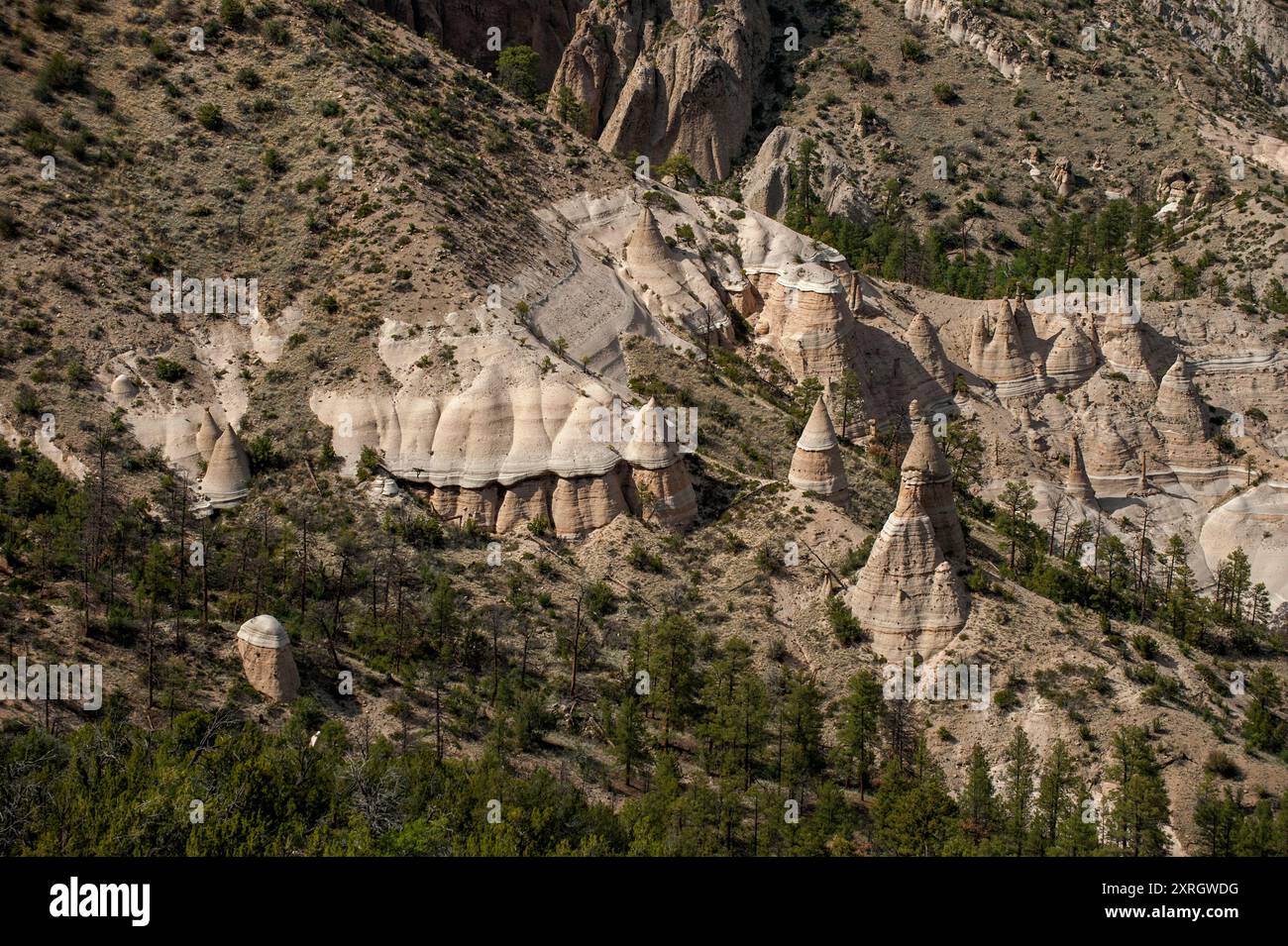 Détail de la Cañada Camada dans le monument national des rochers de tente de Kasha-Katuwe, près du Pueblo Cochiti, Nouveau-Mexique Banque D'Images