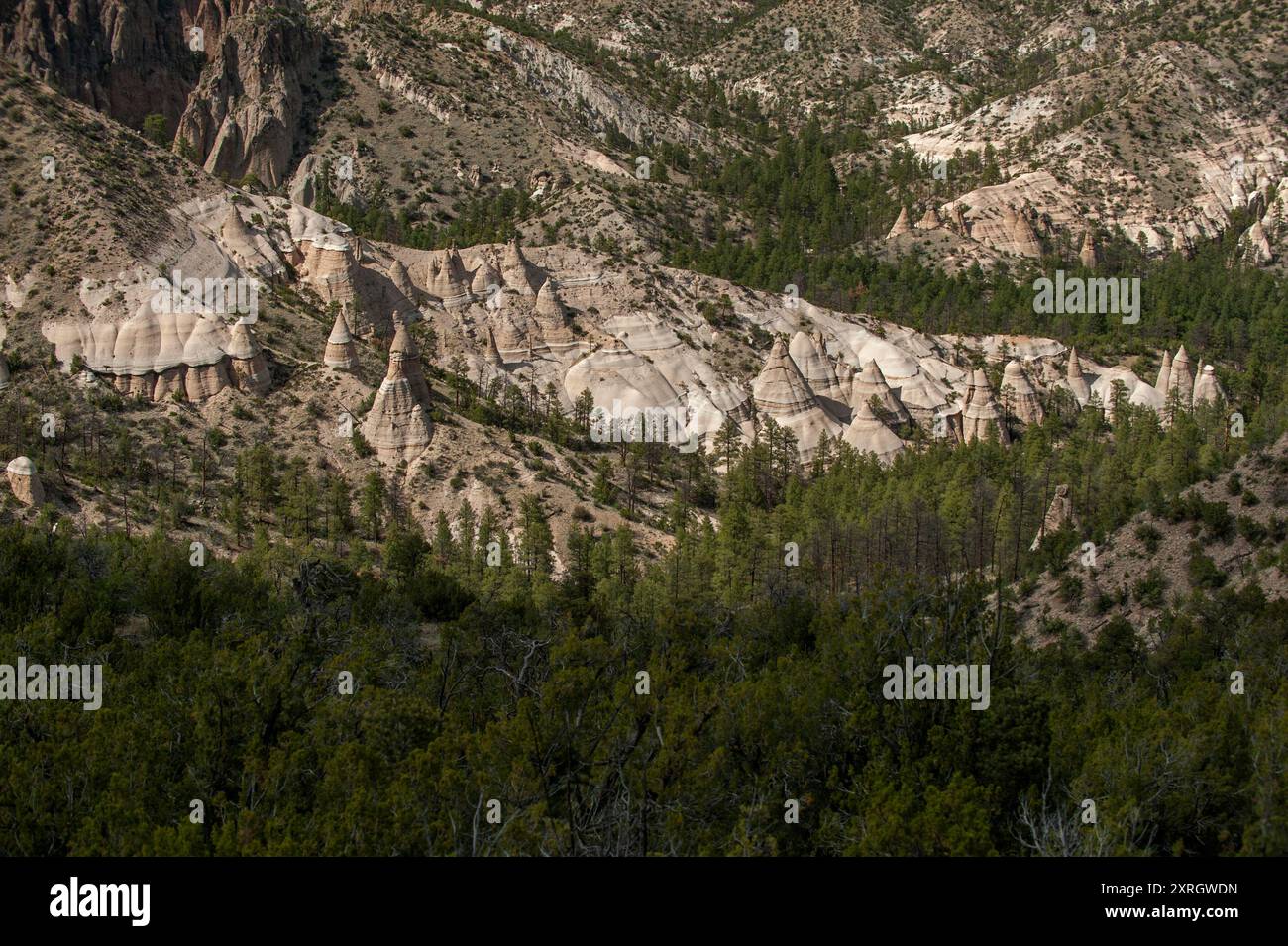 Détail de la Cañada Camada dans le monument national des rochers de tente de Kasha-Katuwe, près du Pueblo Cochiti, Nouveau-Mexique Banque D'Images