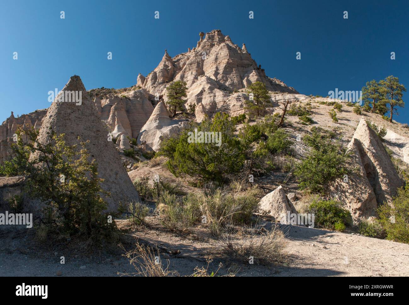 Au monument national Kasha-Katuwe Tent Rocks, Cochiti Pueblo, Nouveau-Mexique Banque D'Images