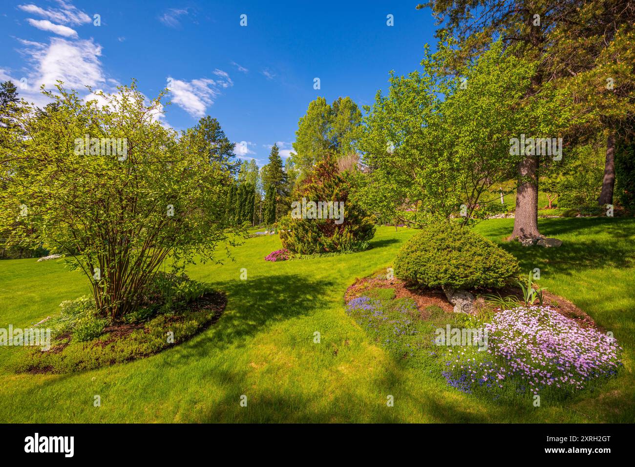 Une cour de banlieue magnifiquement aménagée avec pelouse, arbres et jardins fleuris. Banque D'Images