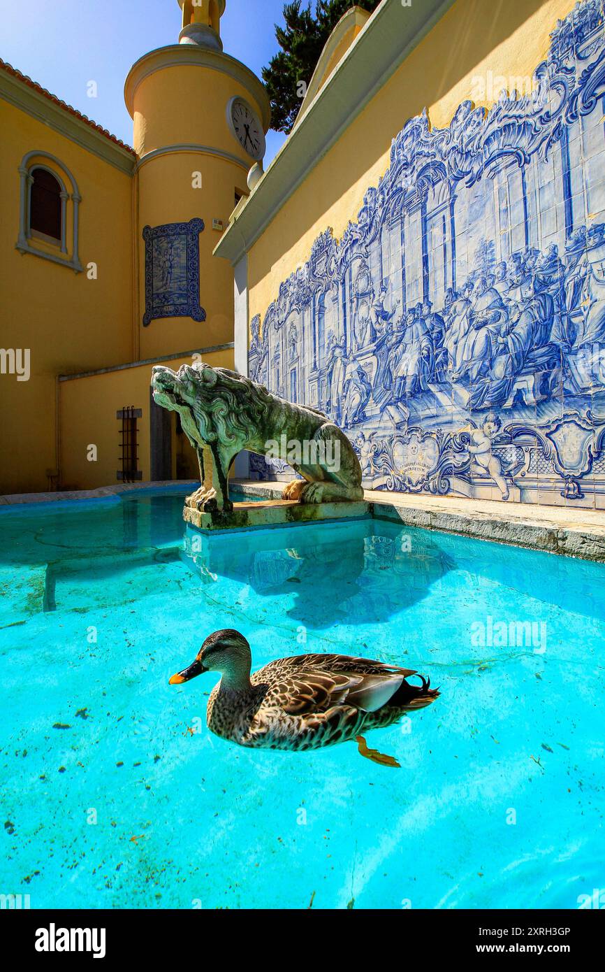 Cascais , Portugal. Canard nageant dans une fontaine dans le parc du musée Condes de Castro Guimaraes. 27 mars 2017 Banque D'Images