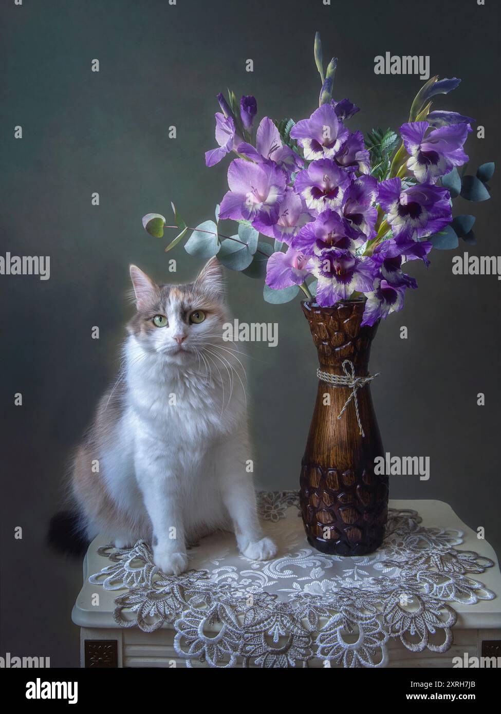 Nature morte avec bouquet de gladiolus et chatte curieuse Banque D'Images