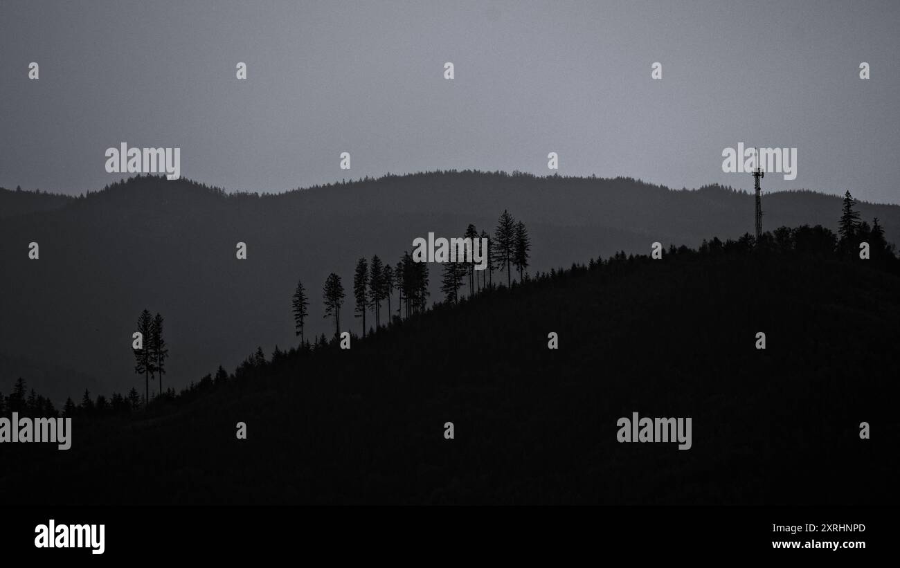 Paysage forestier sombre. Beaucoup de couches de forêt dans la brume. Moravie, république tchèque. Humeur sombre. Édition noir et blanc. Banque D'Images