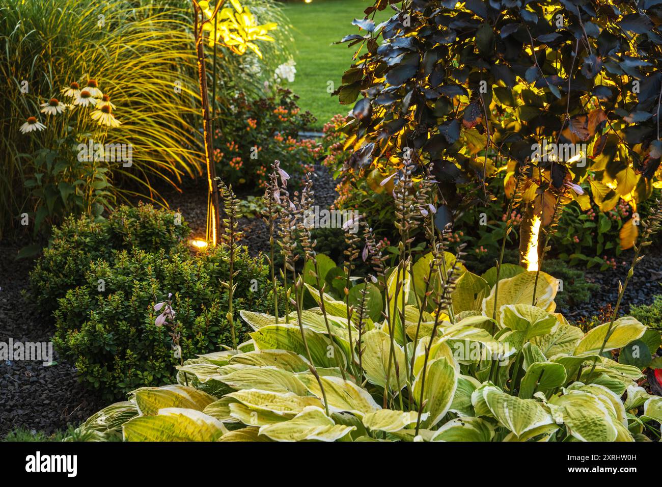 Un jardin tranquille arbore un feuillage vibrant et une douce lueur de lumière, créant une atmosphère paisible en soirée. Banque D'Images