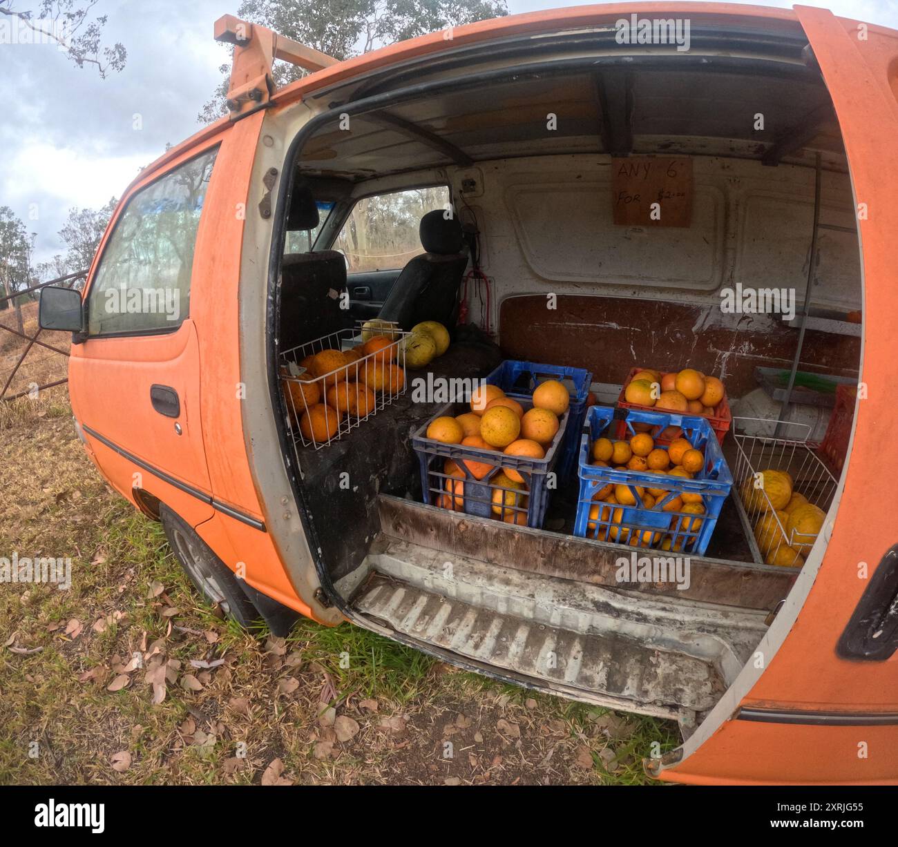 Stalle en bord de route sous la forme d'un combivan orange vendant des agrumes, à l'ouest de Mt surprise, dans l'outback du Queensland, Australie. Pas de PR Banque D'Images