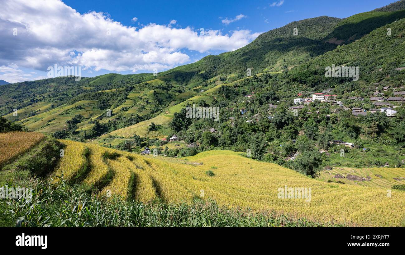 Paysage avec des champs en terrasses de riz vert et jaune et un village dans le nord du Vietnam Banque D'Images