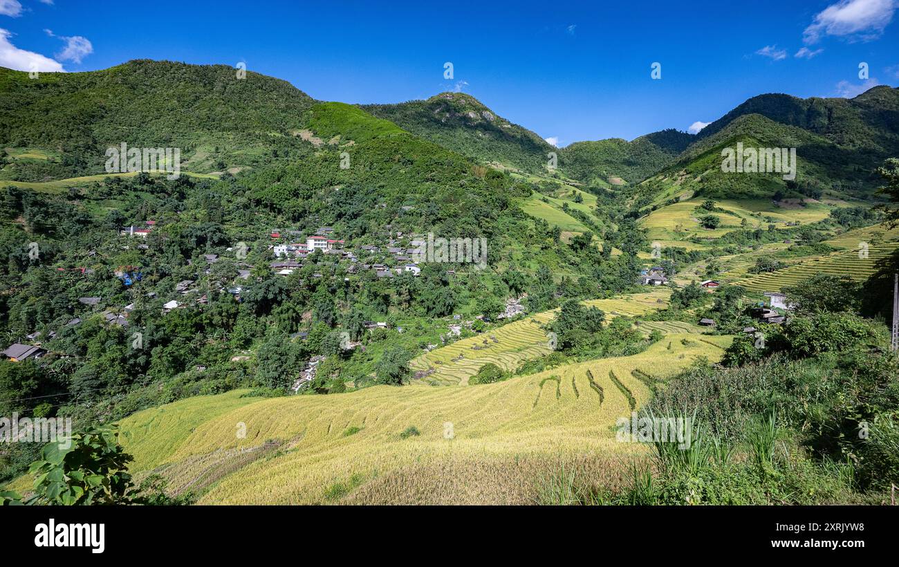 Paysage avec des champs en terrasses de riz vert et jaune et un village dans le nord du Vietnam Banque D'Images