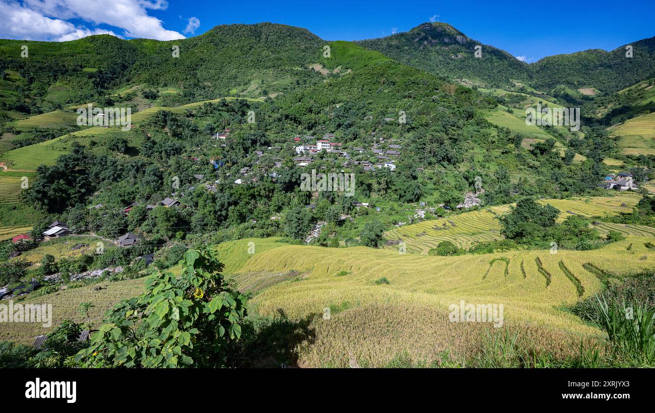Paysage avec des champs en terrasses de riz vert et jaune et un village dans le nord du Vietnam Banque D'Images