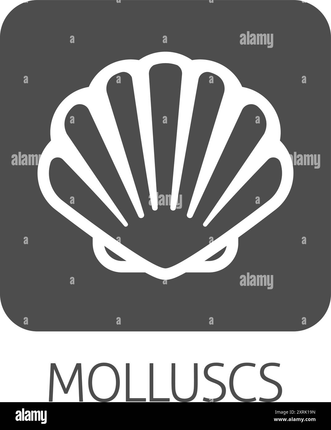 Coquillage coquillage mollusque mollusque de fruits de mer icône de nourriture Illustration de Vecteur