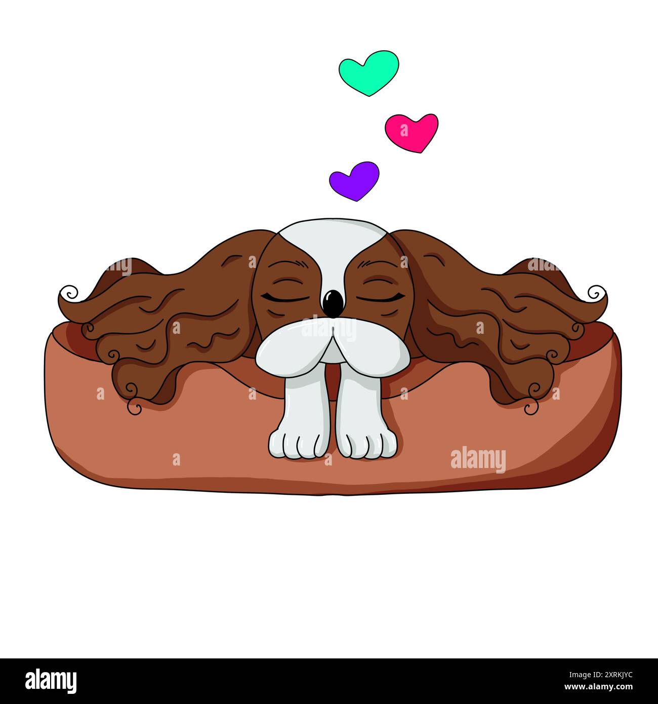 Joyeux Cavalier King Charles Spaniel allongé sur un lit à la maison. Banque D'Images