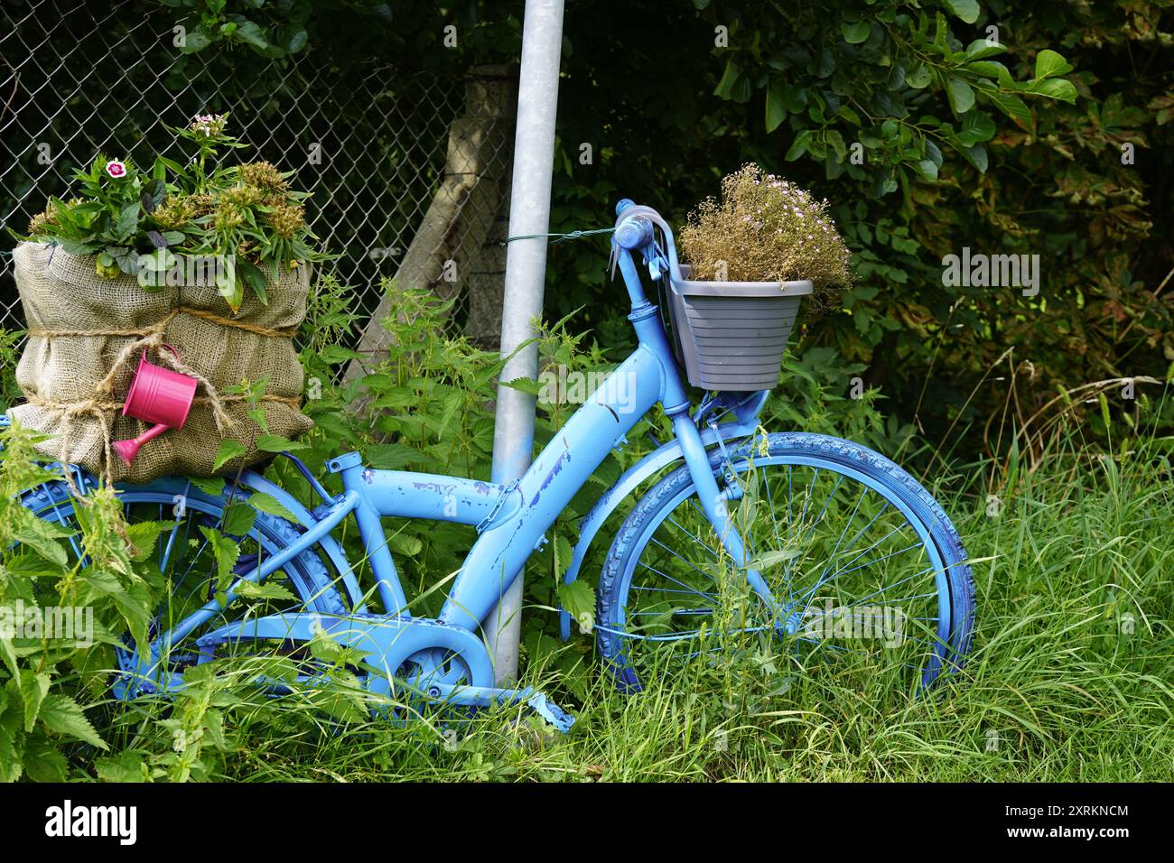 Image montrant un vélo peint en bleu sur la piste cyclable Havel (Havelradweg) dans le district de Göttlin en Allemagne (upcycling). Banque D'Images