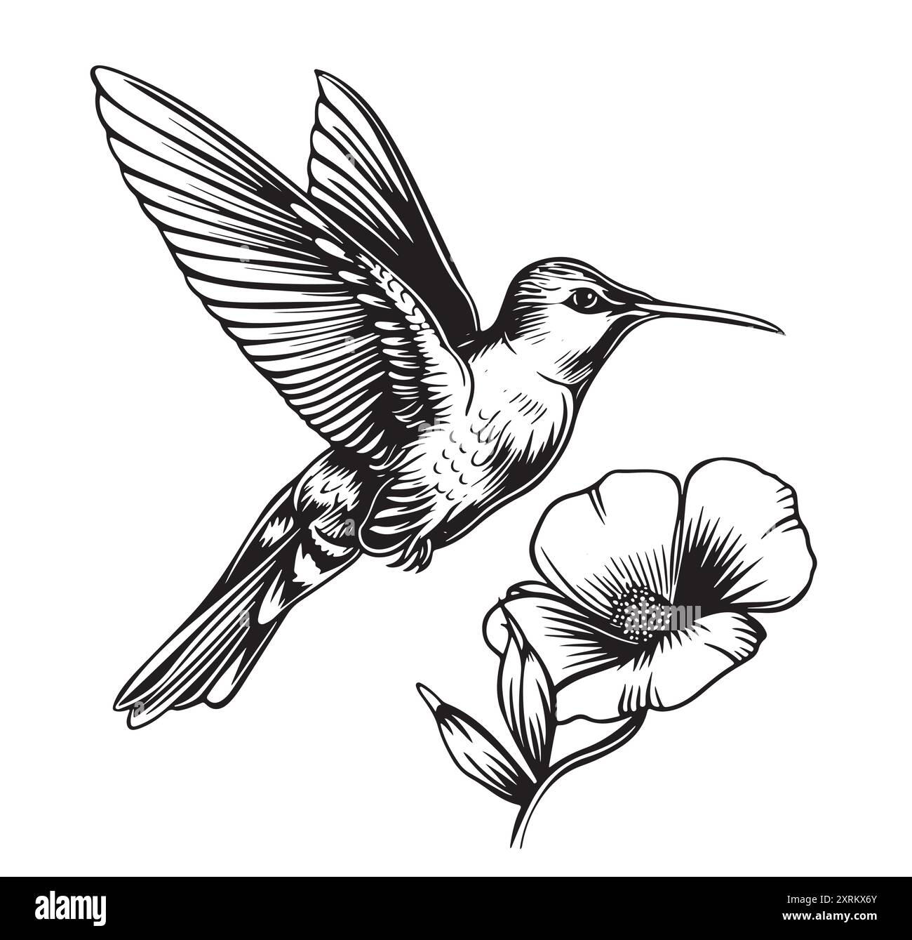 Colibri volant et fleurs. beau dessin et illustration pour impression, tatouage et etc Illustration de Vecteur