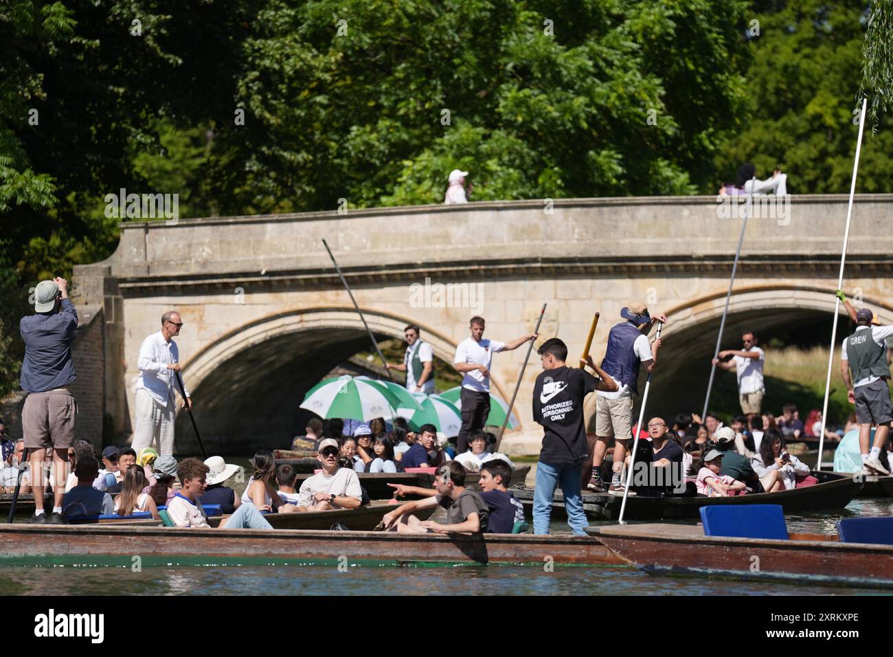 Les gens apprécient les visites punt le long de la rivière Cam à Cambridge. Date de la photo : dimanche 11 août 2024. Banque D'Images