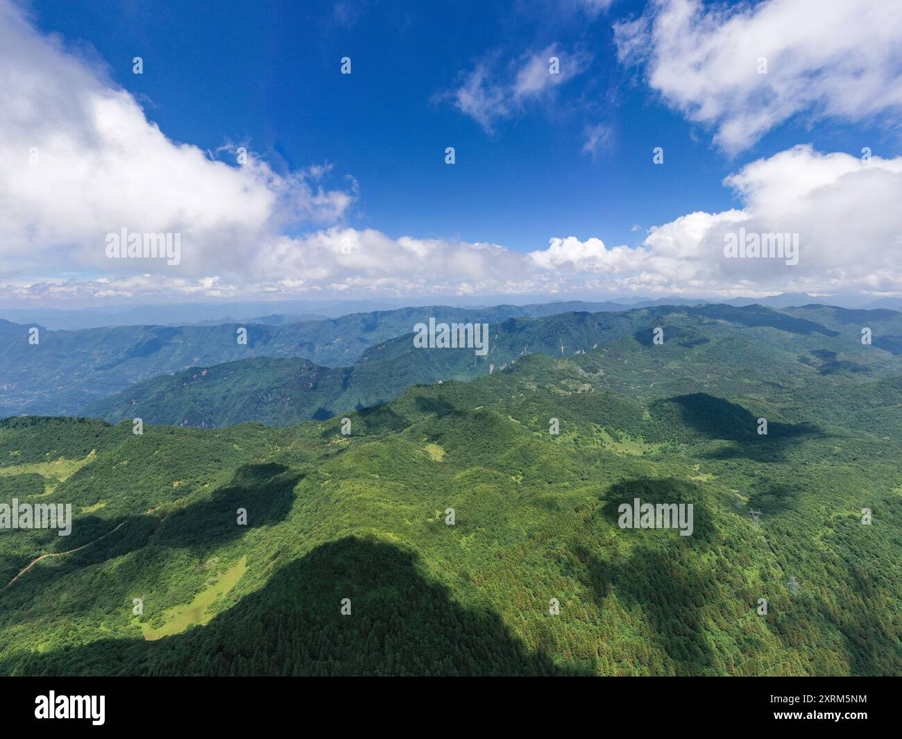 (240811) -- CHONGQING, 11 août 2024 (Xinhua) -- une photo de drone aérien prise le 8 août 2024 montre une vue de la réserve naturelle nationale de Xuebaoshan dans le district de Kaizhou, dans le sud-ouest de la Chine, Chongqing. Thuja sutchuenensis sauvage est une espèce menacée de gymnosperme endémique de Chine et sous protection nationale de première classe. En 1998, l'Union internationale pour la conservation de la nature a déclaré Thuja sutchuenensis éteinte, mais l'espèce a été redécouverte dans le comté de Chengkou en 1999. À l'heure actuelle, le nombre de plantes adultes sauvages de Thuja sutchuenensis dans le monde est inférieur à 10 000, et elles ne sont que distr Banque D'Images