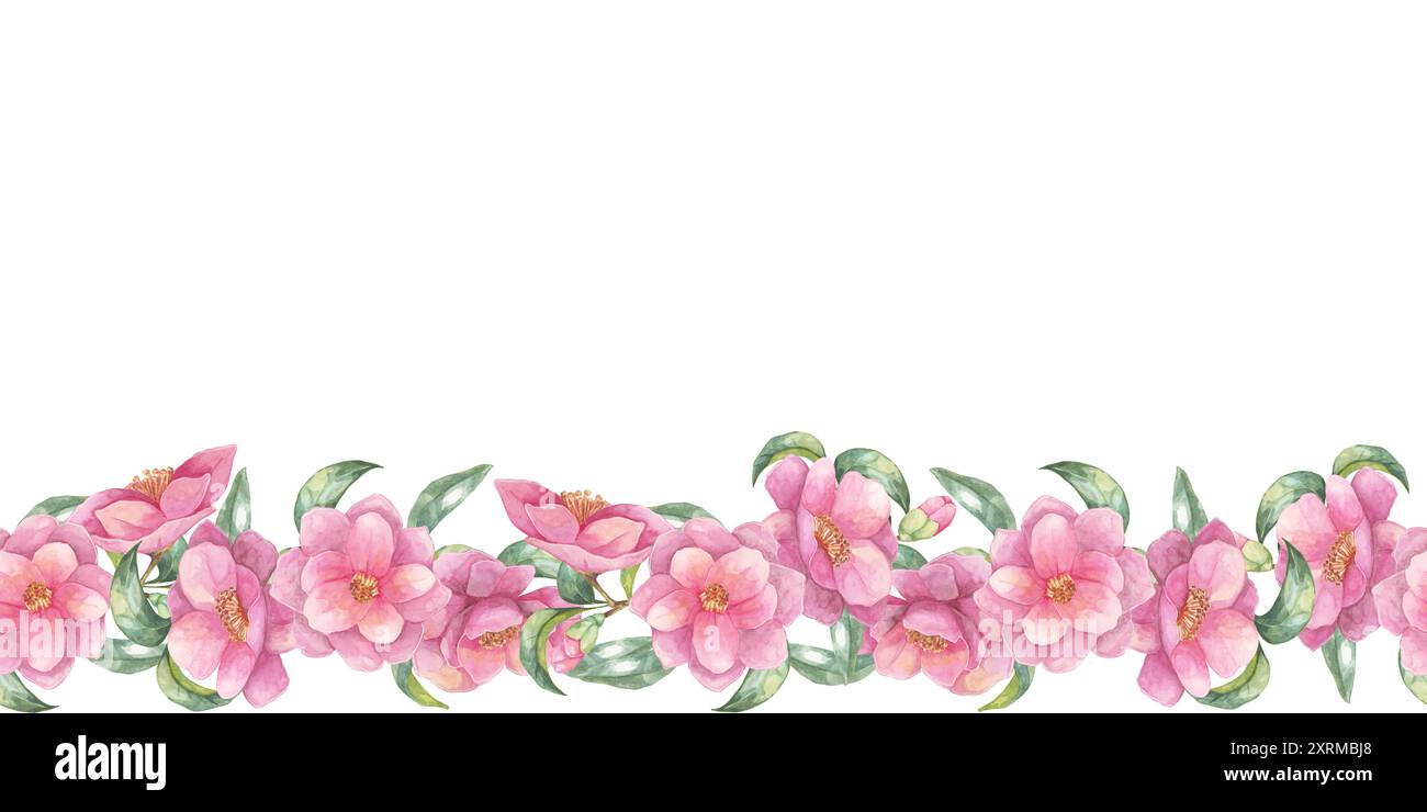 Des fleurs de camélia roses disposées dans une bordure horizontale sans couture sont présentées dans ce clipart aquarelle. Idéal pour améliorer les invitations à des événements, les en-têtes de blog et divers documents imprimés Banque D'Images