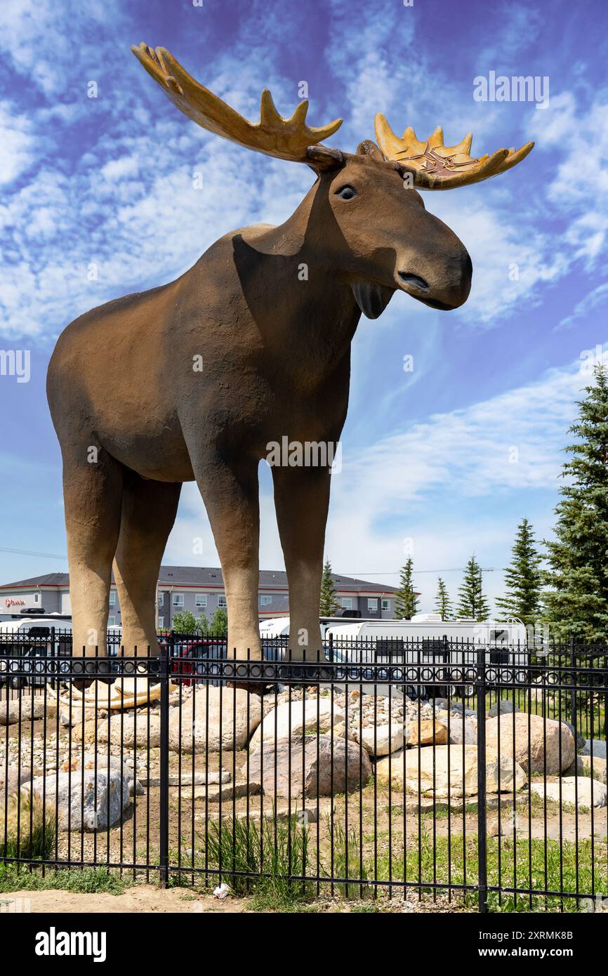 Moose Jaw Saskatchewan Canada, 19 juillet 2024 : statue emblématique de Moose debout au centre d'information touristique le long de la route transcanadienne pendant Banque D'Images