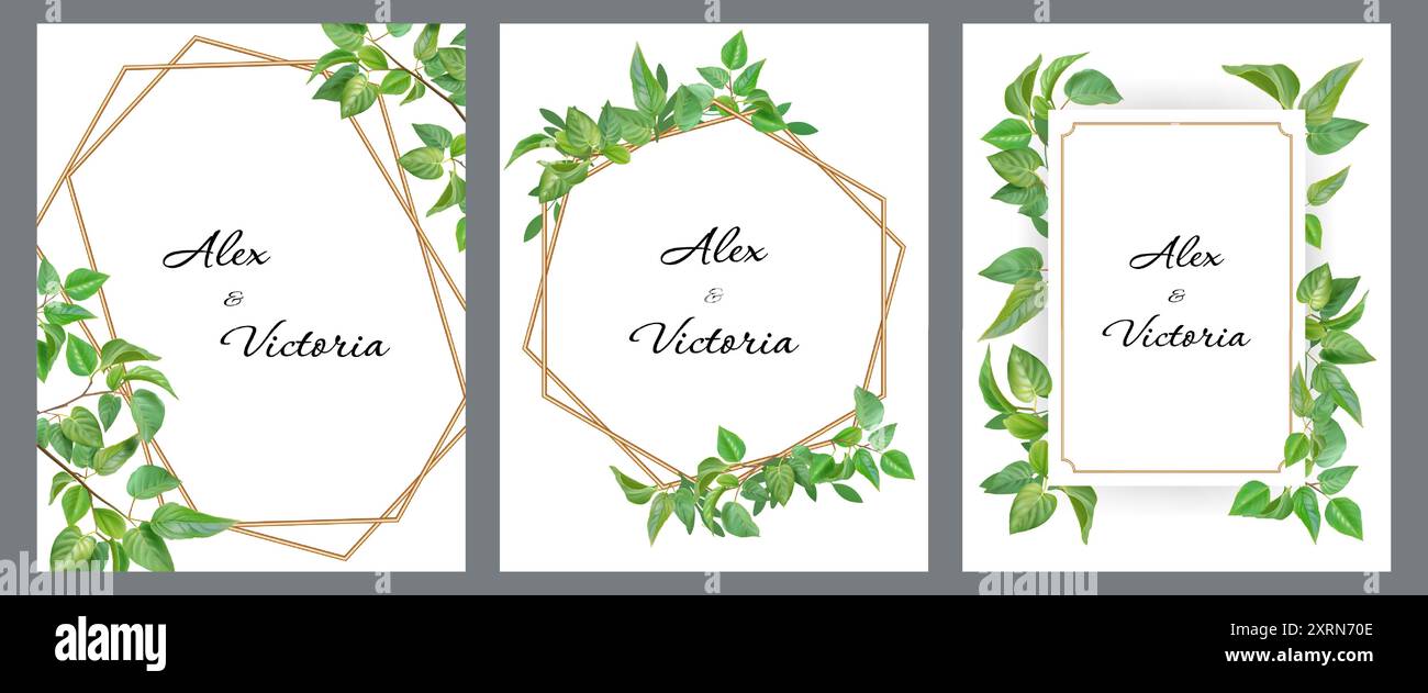 Fond de feuille. Bordure végétale verte, cadre doré, verdure de forêt d'eucalyptus avec feuillage simple à base de plantes, branche de printemps. Ensemble décoratif botanique printanier. Poster ou modèle d'invitation. Conception vectorielle Illustration de Vecteur