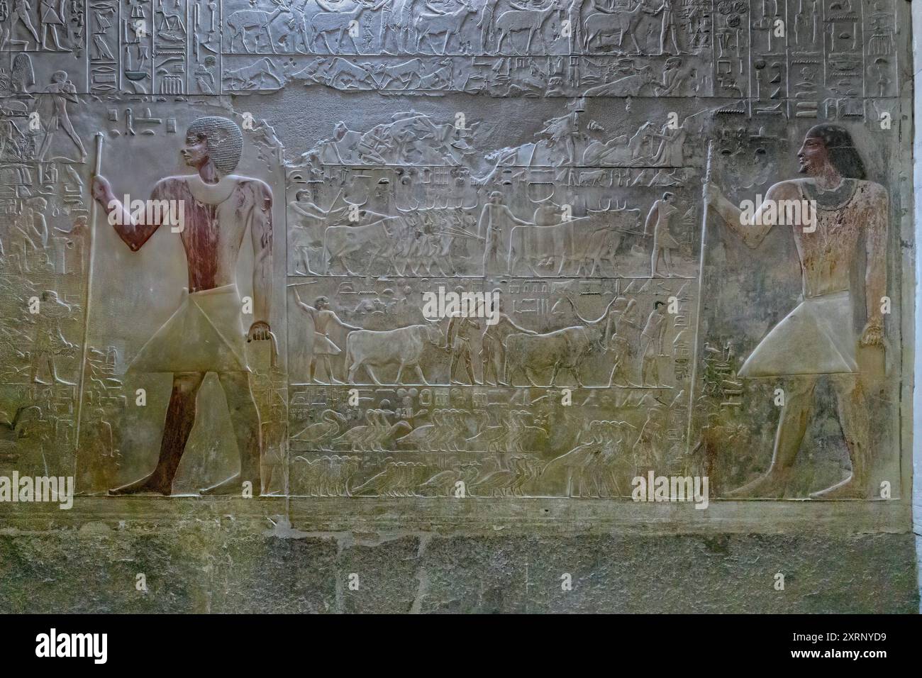 Le mur est de Mastaba D64 montre Ptahhotep portant une longue perruque noire et une fausse barbe, précédé par son fils aîné Akhethotep, qui est inspecteur des canaux. Banque D'Images