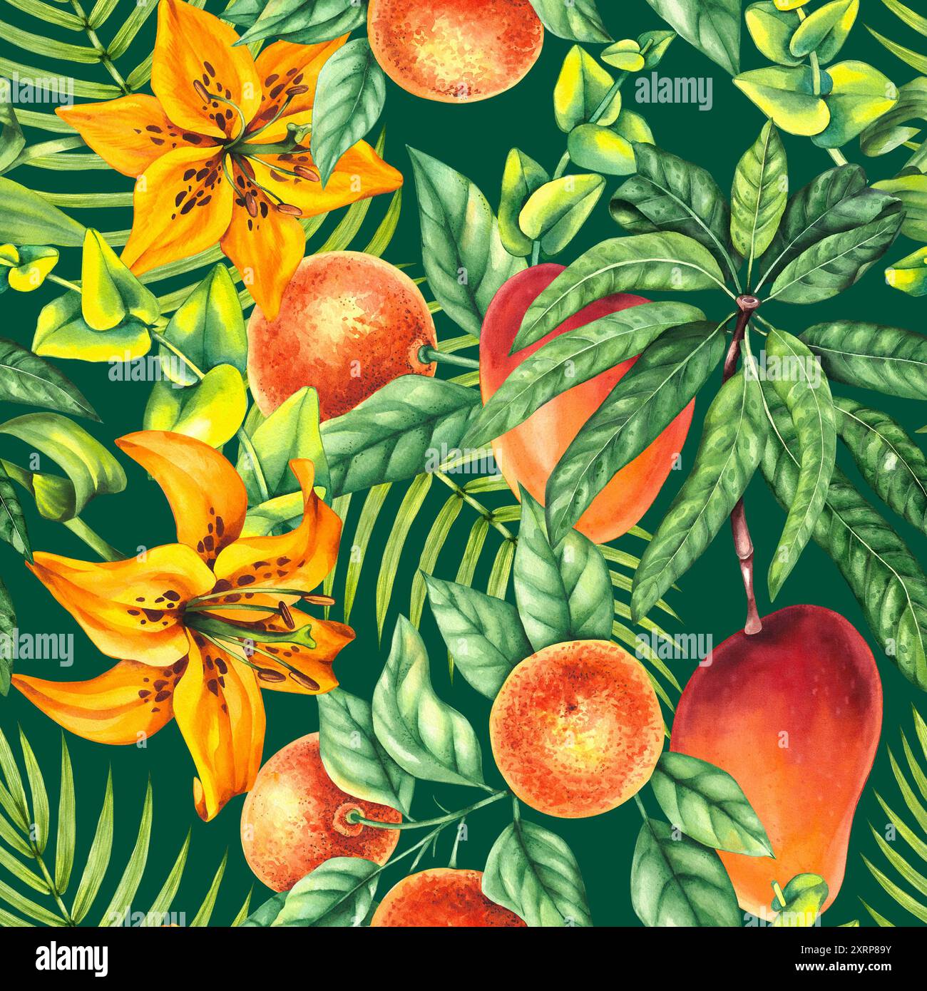 Aquarelle fruit et motif floral avec lys, eucalyptus et mangue design de nourriture, textile, tissu, menu, restaurant et plus encore. Motif mangue. Lily Banque D'Images