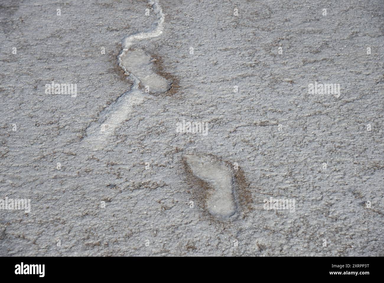 Traces sur la surface du sel. Lake Elton. Région de Volgograd Banque D'Images